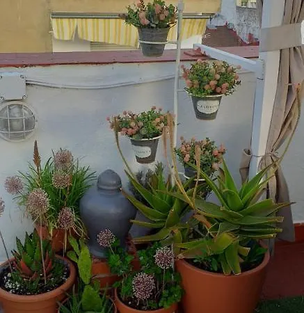 Apartamentos Nundinae Mérida Buitenkant foto