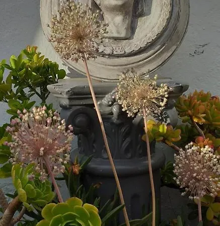 Apartamentos Nundinae Mérida Buitenkant foto
