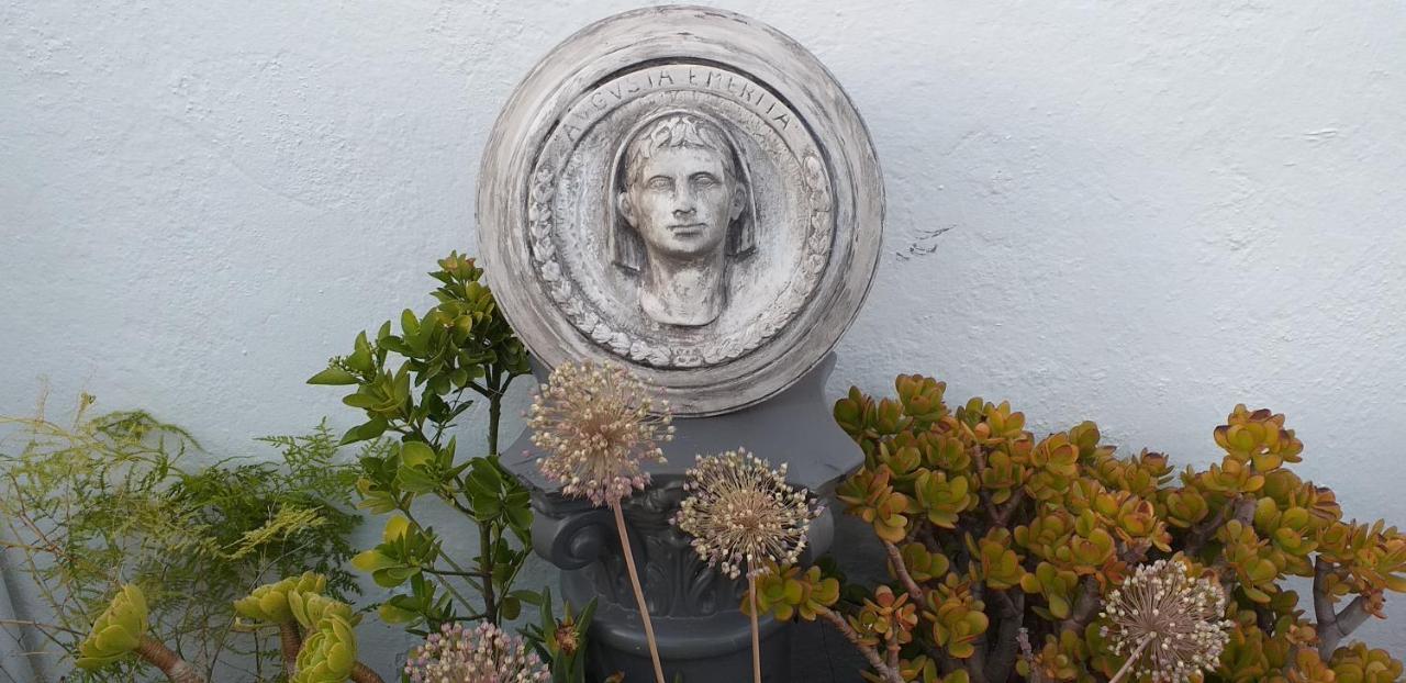 Nundinae * Merida