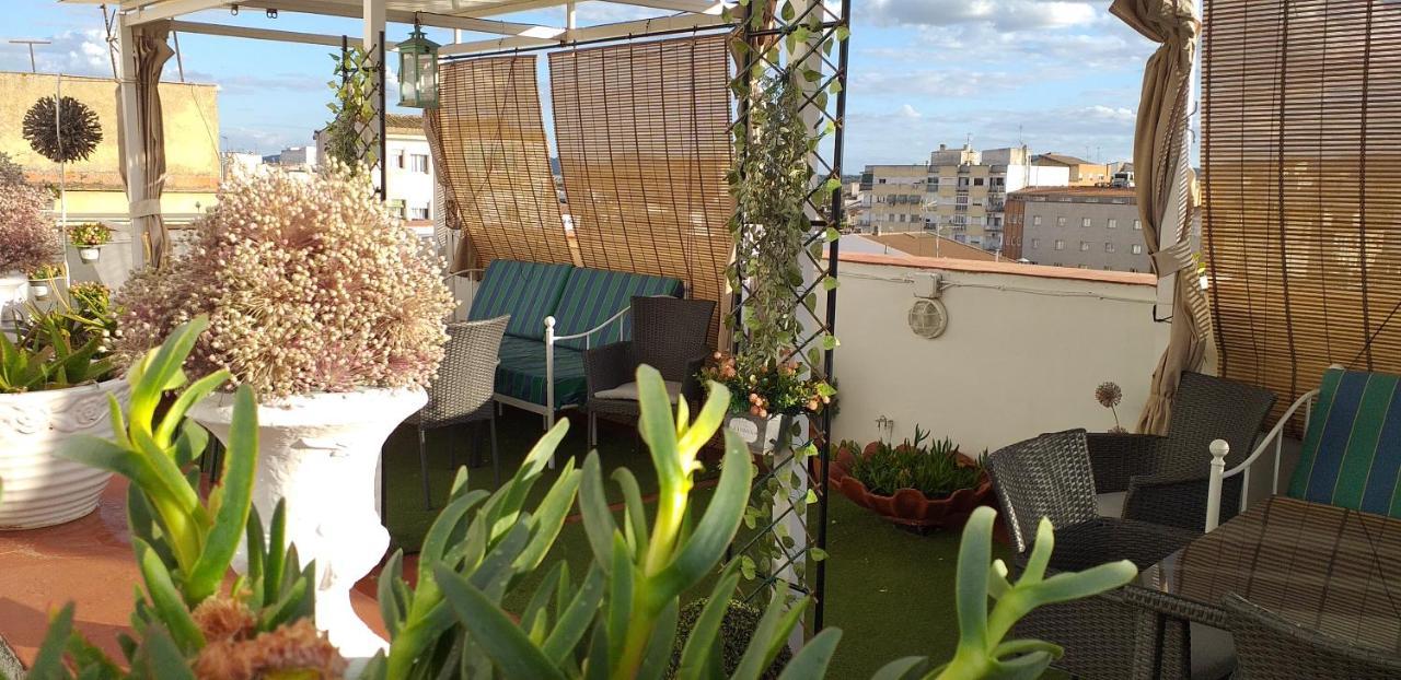 Apartment Nundinae *